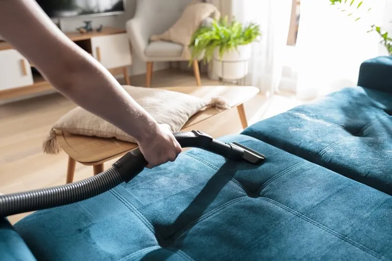Steam Cleaning