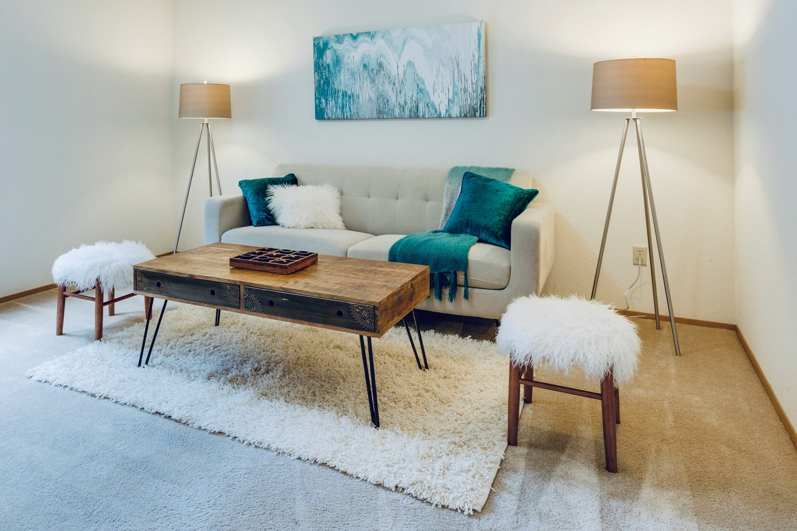 Professional Carpet Cleaning Cost